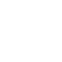 fv_btn_form